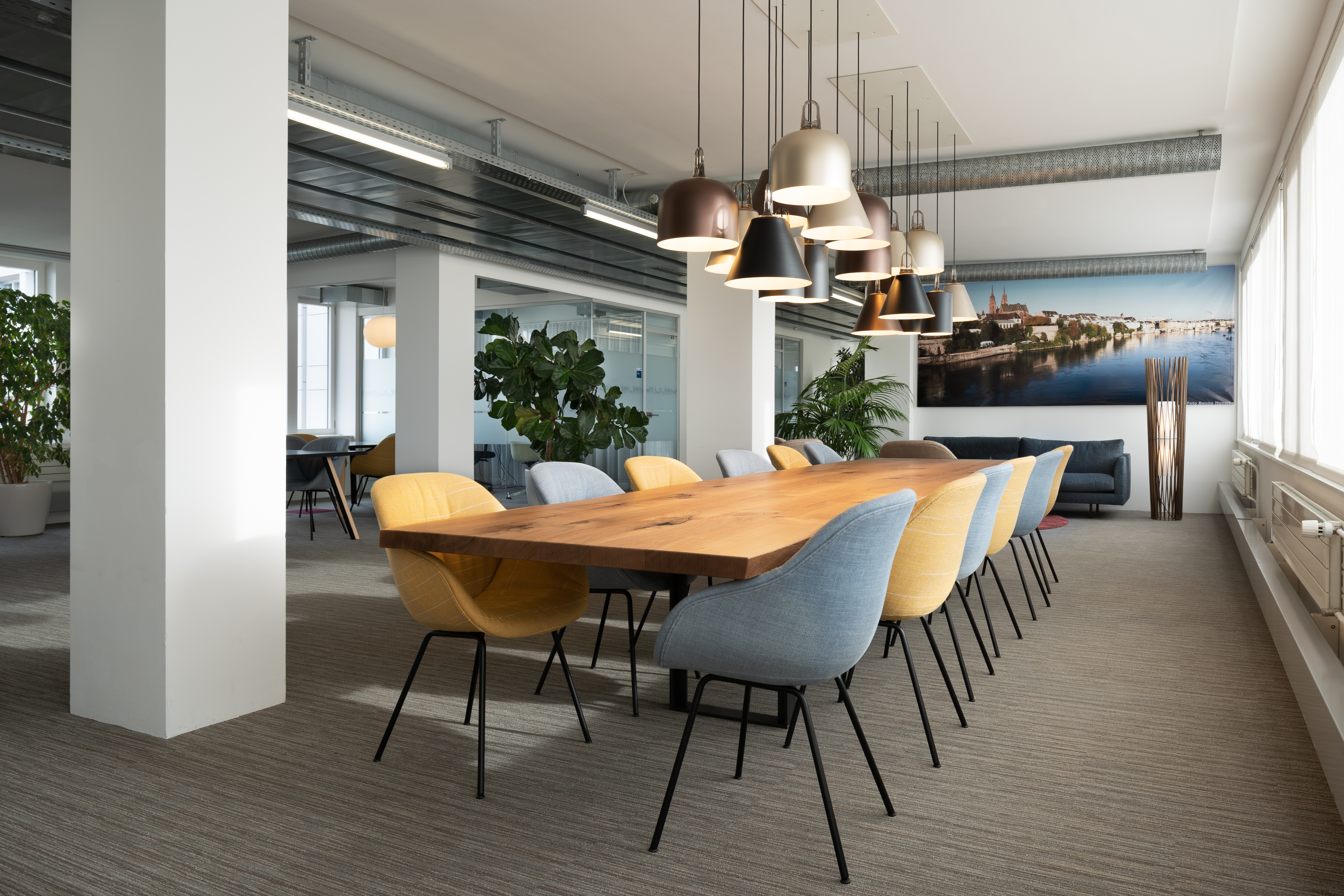 Elanco Anmimal Health-2