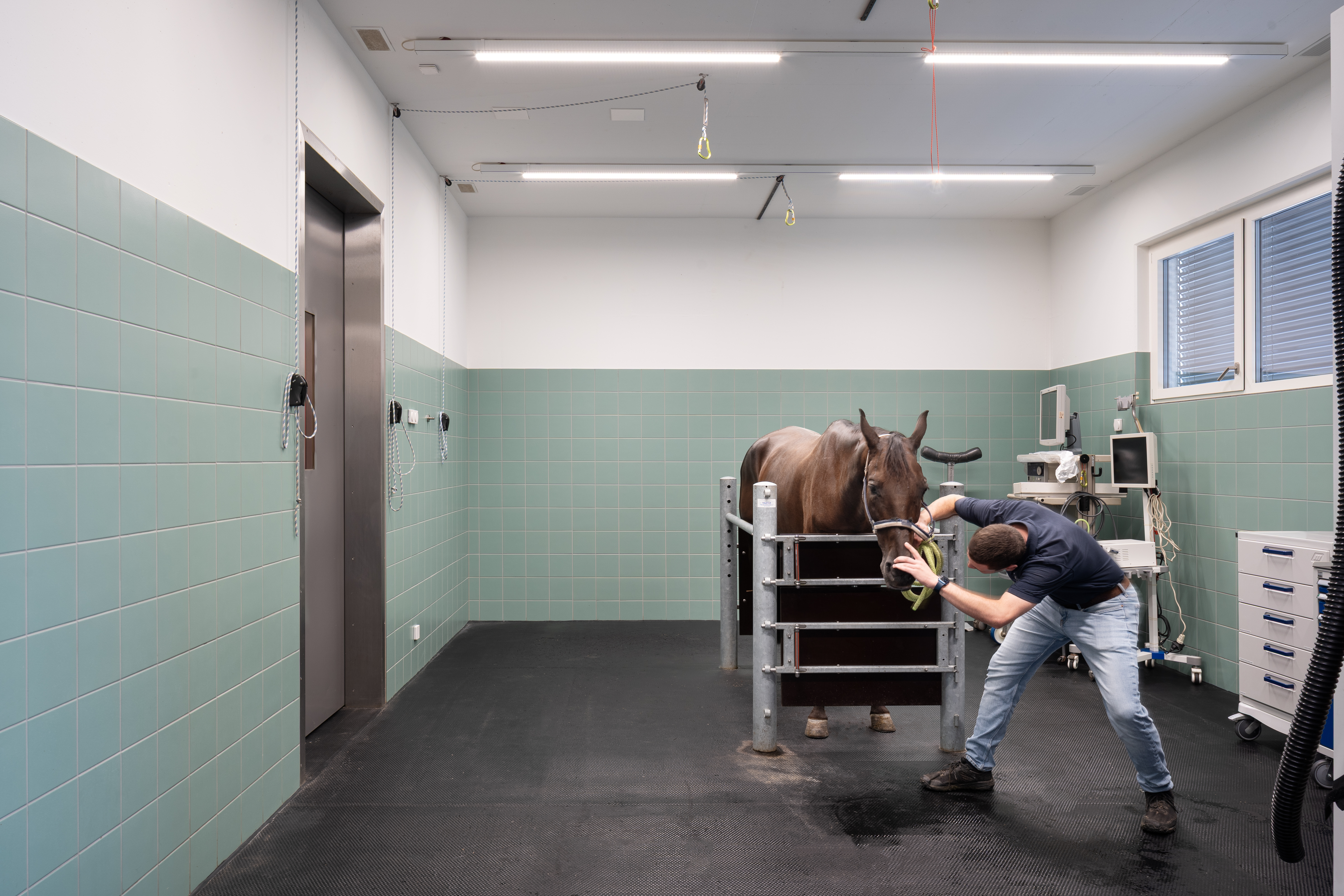 Nic Hahne DALCHENHOF-4(1)