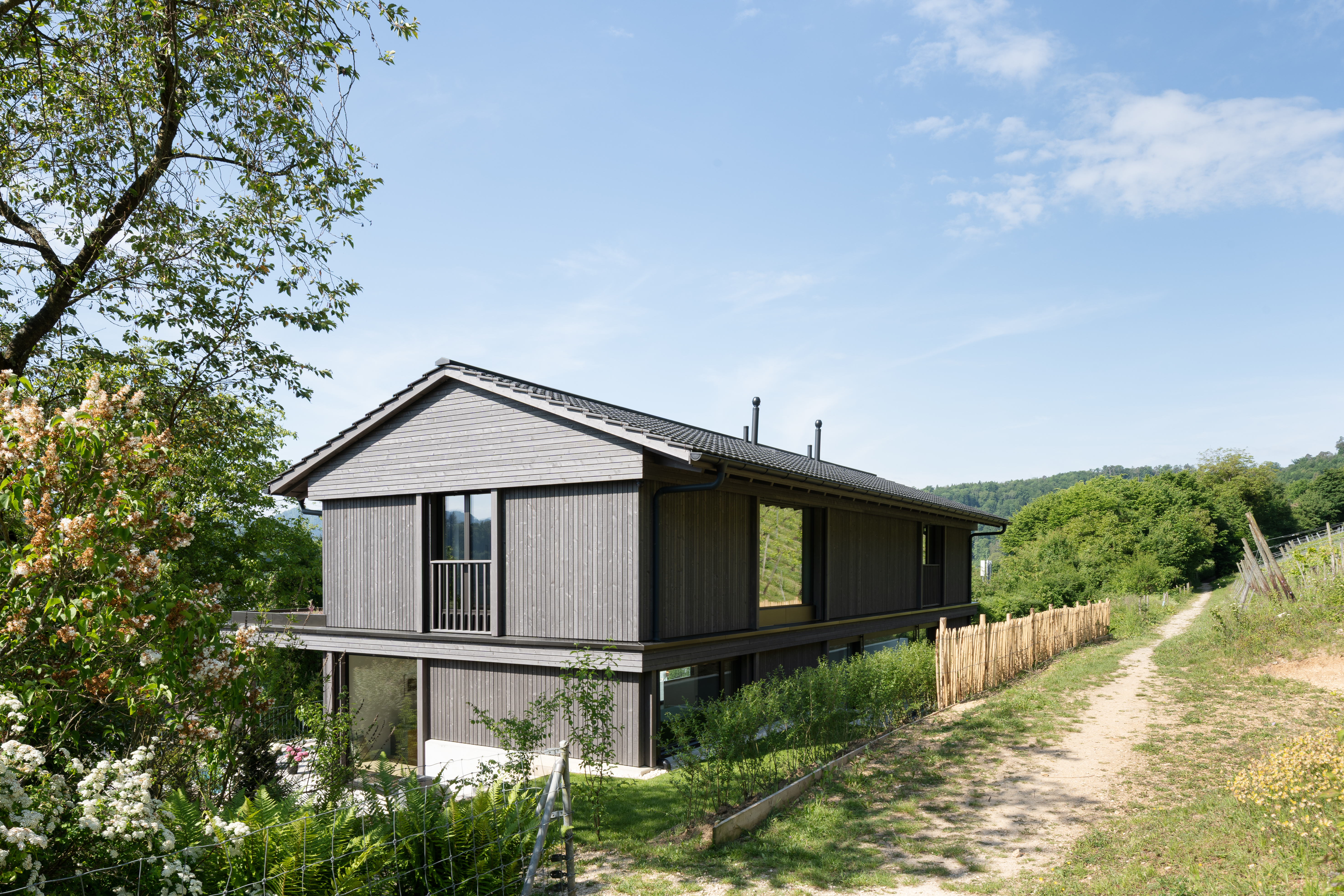 EFH ZWINGEN LEIMERTSGARTENWEG-3