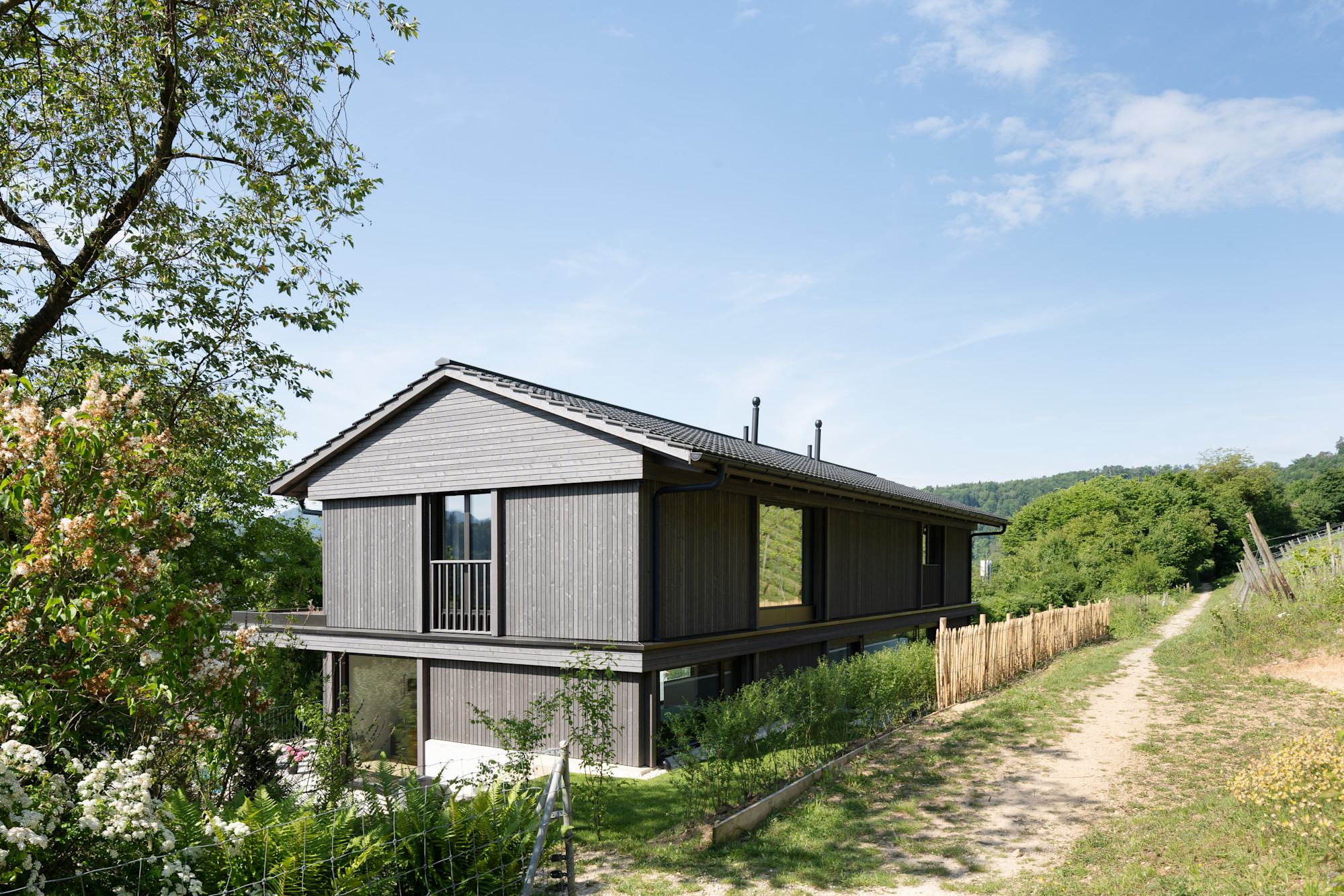 EFH ZWINGEN LEIMERTSGARTENWEG-3