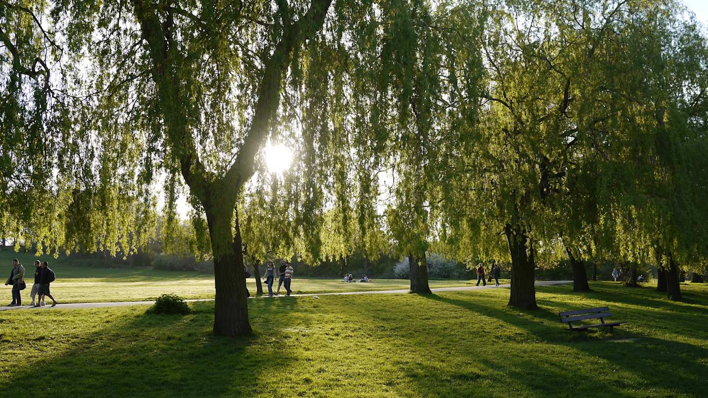 Hampstead Heath, London