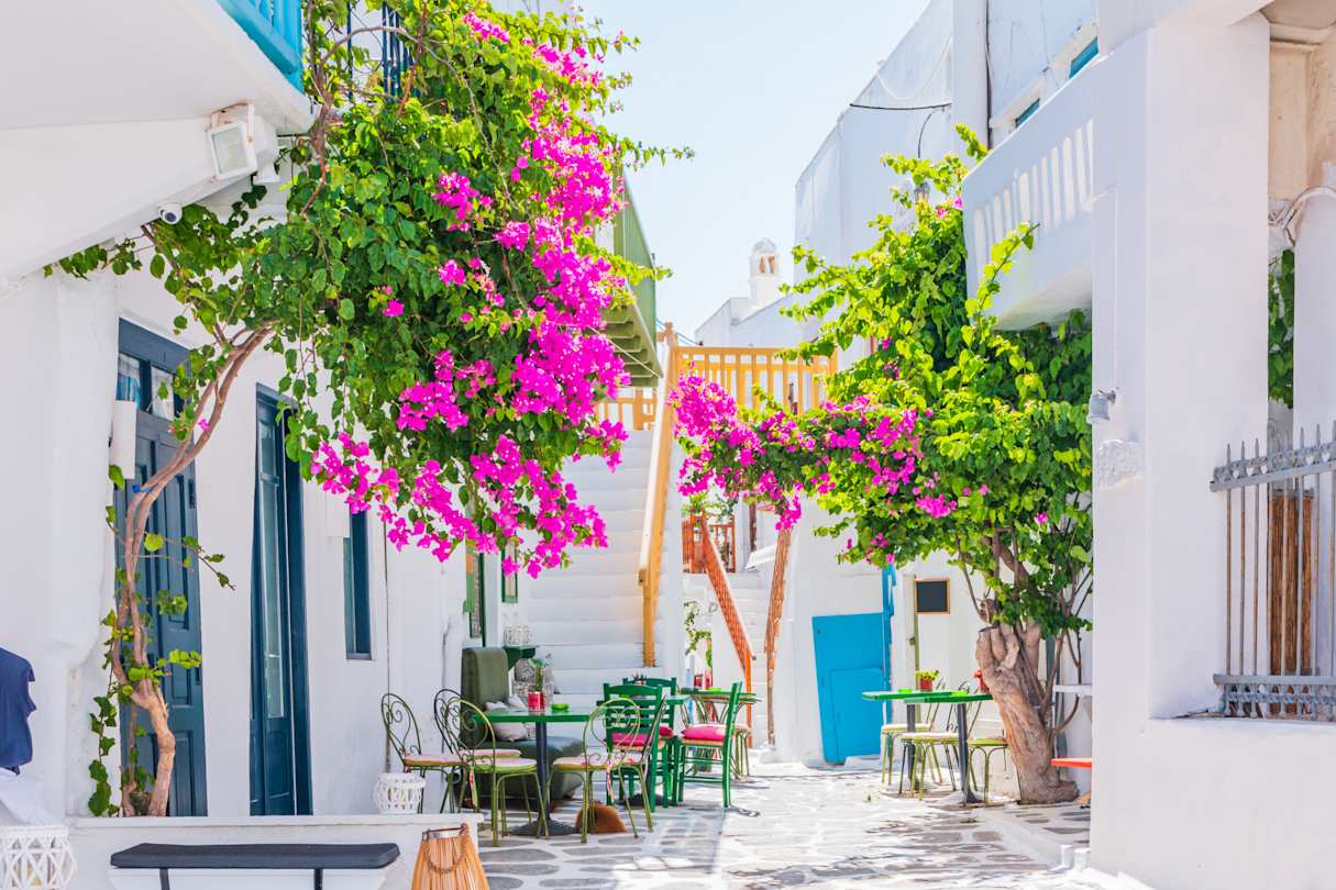 Bougainvilleas outside white buildings in a narrow street in Mykonos Town, Greece