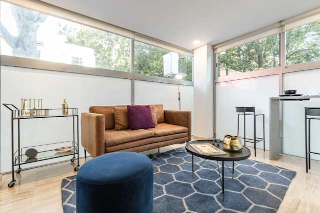 Mexican Sunflower, Plum Guide home in Mexico City