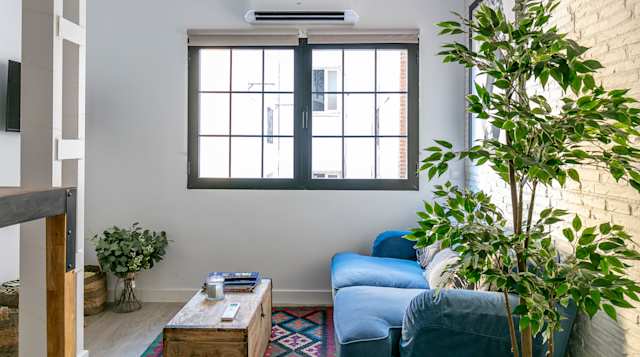 Flowerhead, Plum Guide home in Madrid