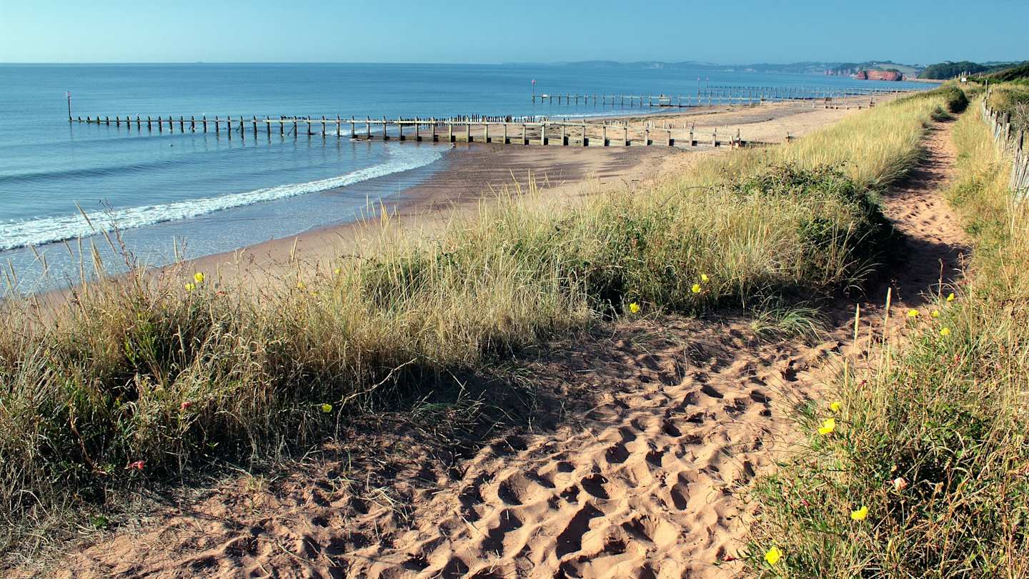 Wild beach in Devon