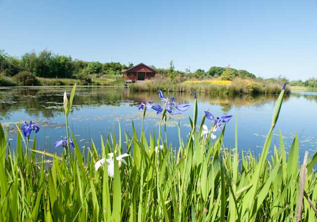 Iris Lakehouse, Plum Guide home in Anglesey, UK