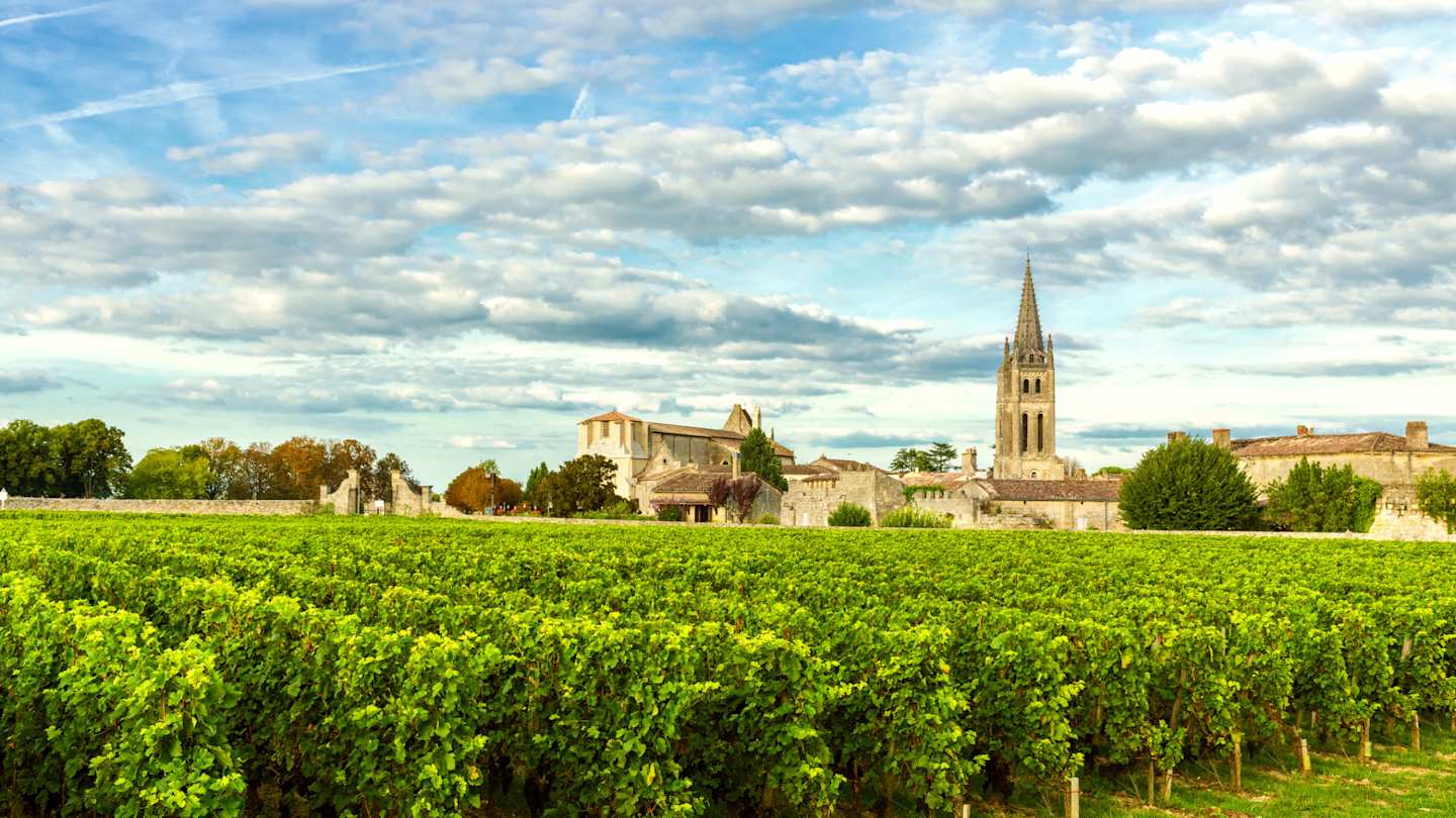 Vineyards of Saint Emilion, Bordeaux, France