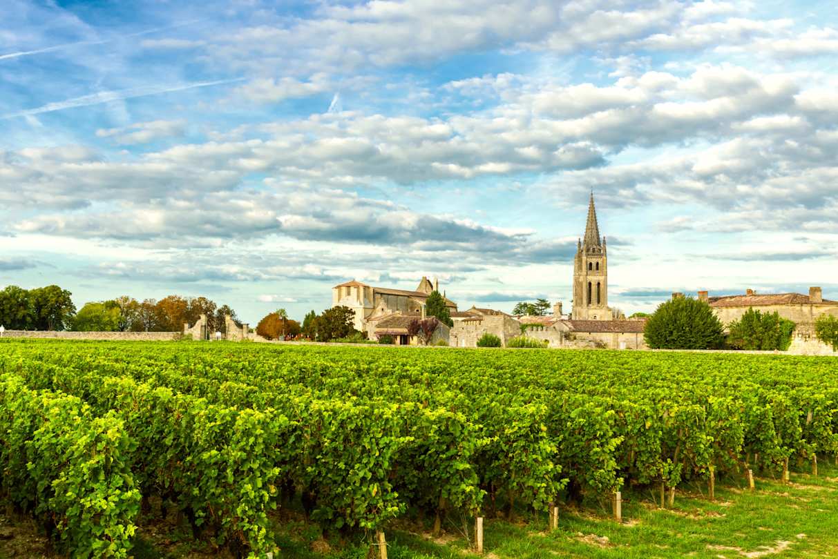 Vineyards of Saint Emilion, Bordeaux, France
