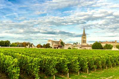 Vineyards of Saint Emilion, Bordeaux, France