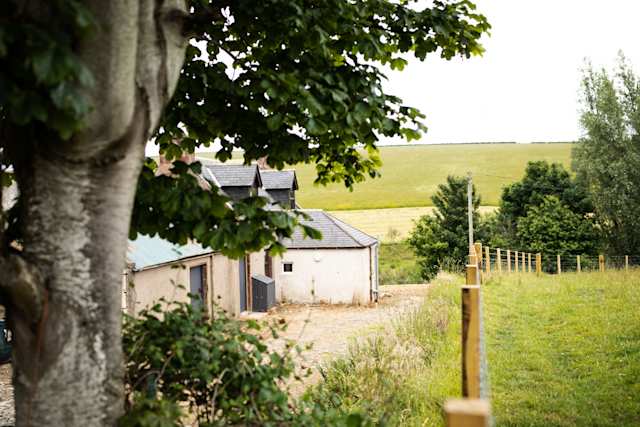 Fallow Deer, Plum Guide home in Scotland, UK
