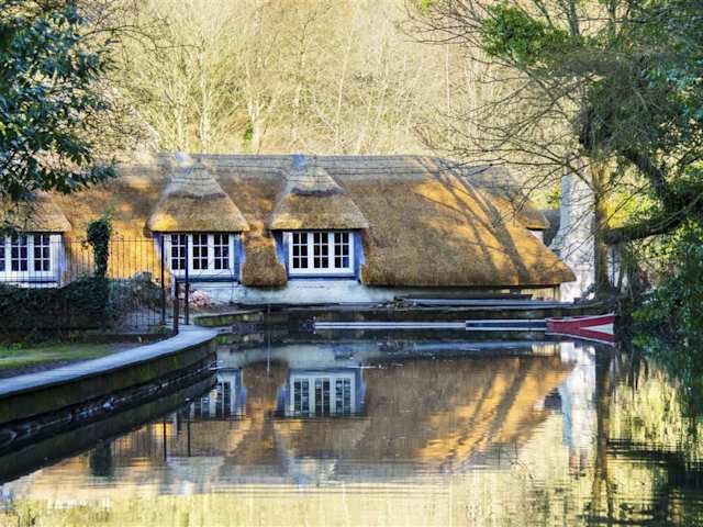 Cream Tea Mill, Plum Guide home in Devon, UK