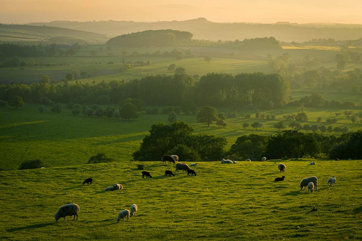 Spring Evening over the Yorkshire Dales, UK