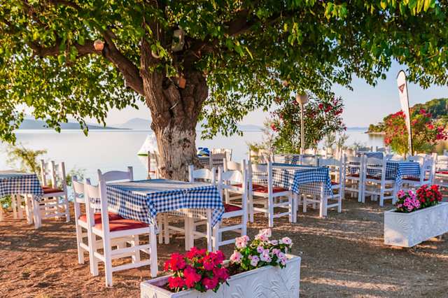 A selection of tables underneath a tall, green tree by the sea in Lefkada, Greece