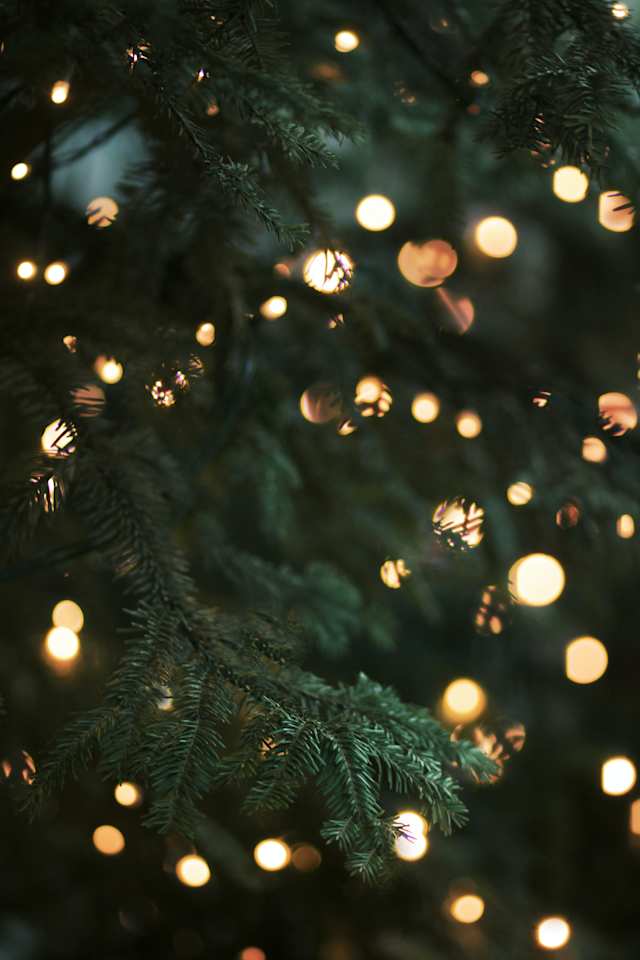 Close up view of a Christmas tree with lights on
