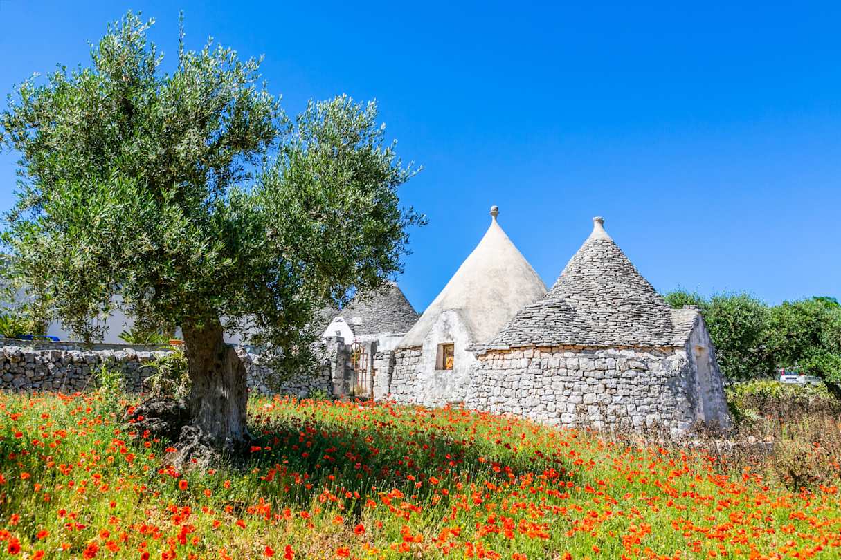 Trulli houses in Apulia