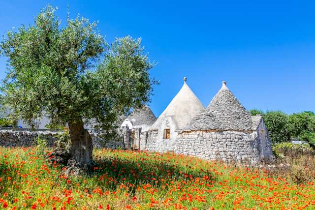 Trulli houses in Apulia
