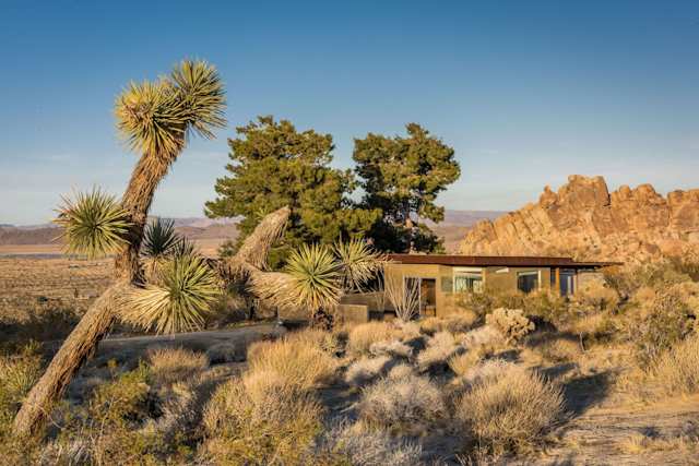 Modernist Cabin, Plum Guide home in Joshua Tree, California, USA