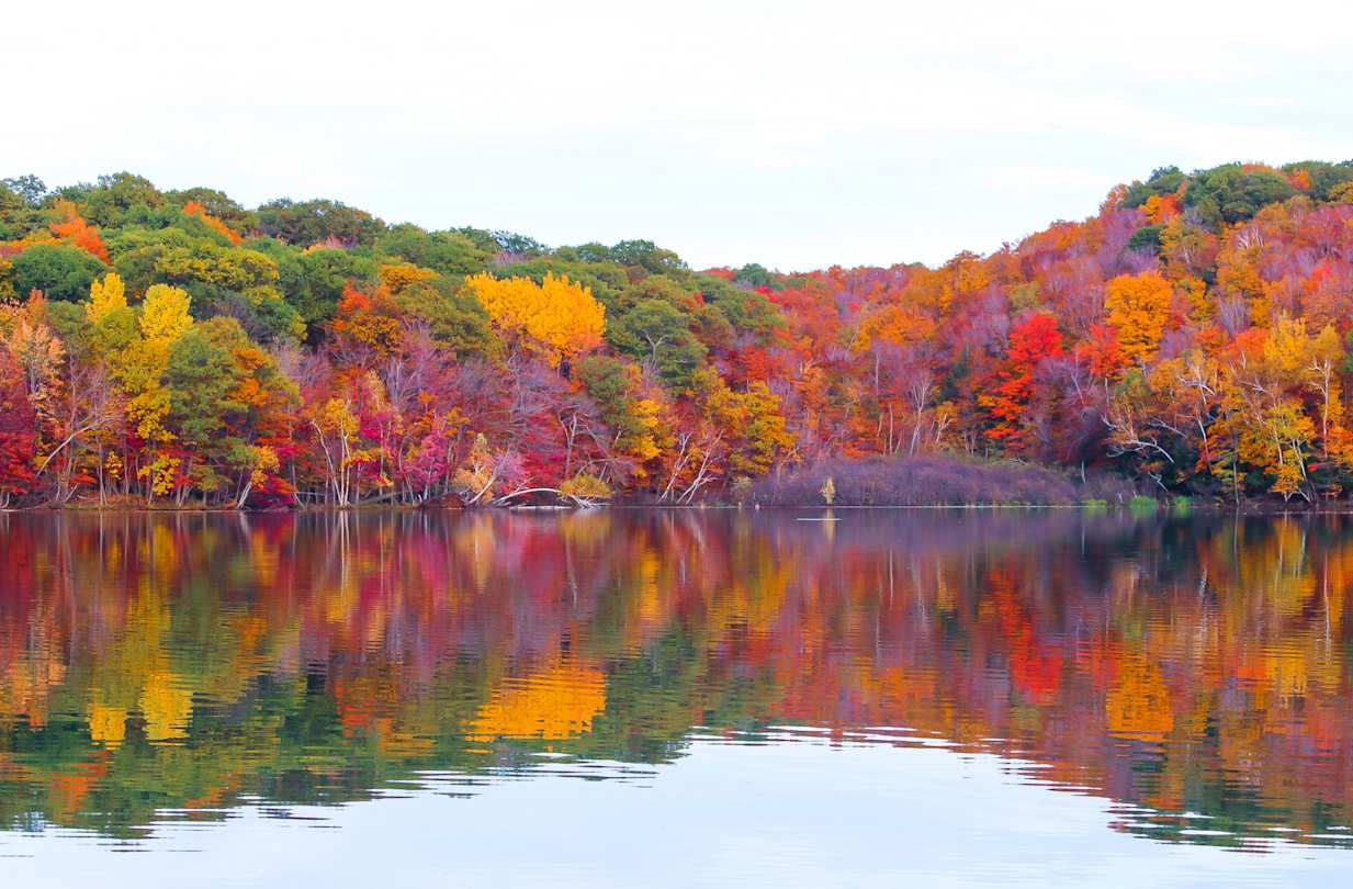 A forest of red, green, and yellow trees reflecting in a still lake in October in Canada