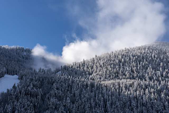 Skiing in Colorado | Plum Guide