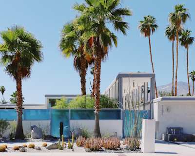 Home and palm trees in Palm Springs