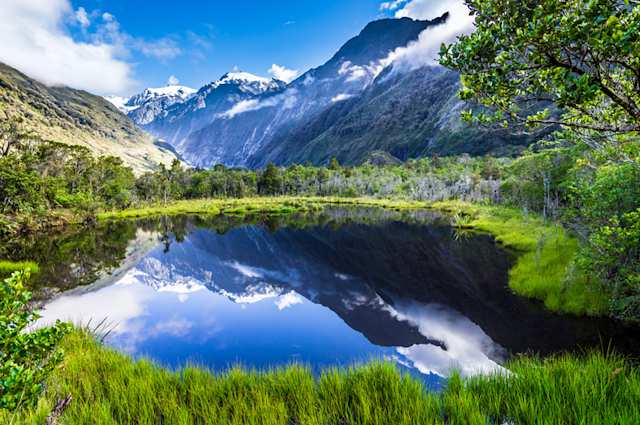 A view of Peters Pool in front of the snow-capped Franz Josef Glacier surrounded by green shrubbery, New Zealand