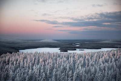 View of snow-covered trees and an icy lake from high up in Lapland, Finland