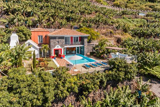 Banana Tree, Plum Guide home in Madeira, Portugal