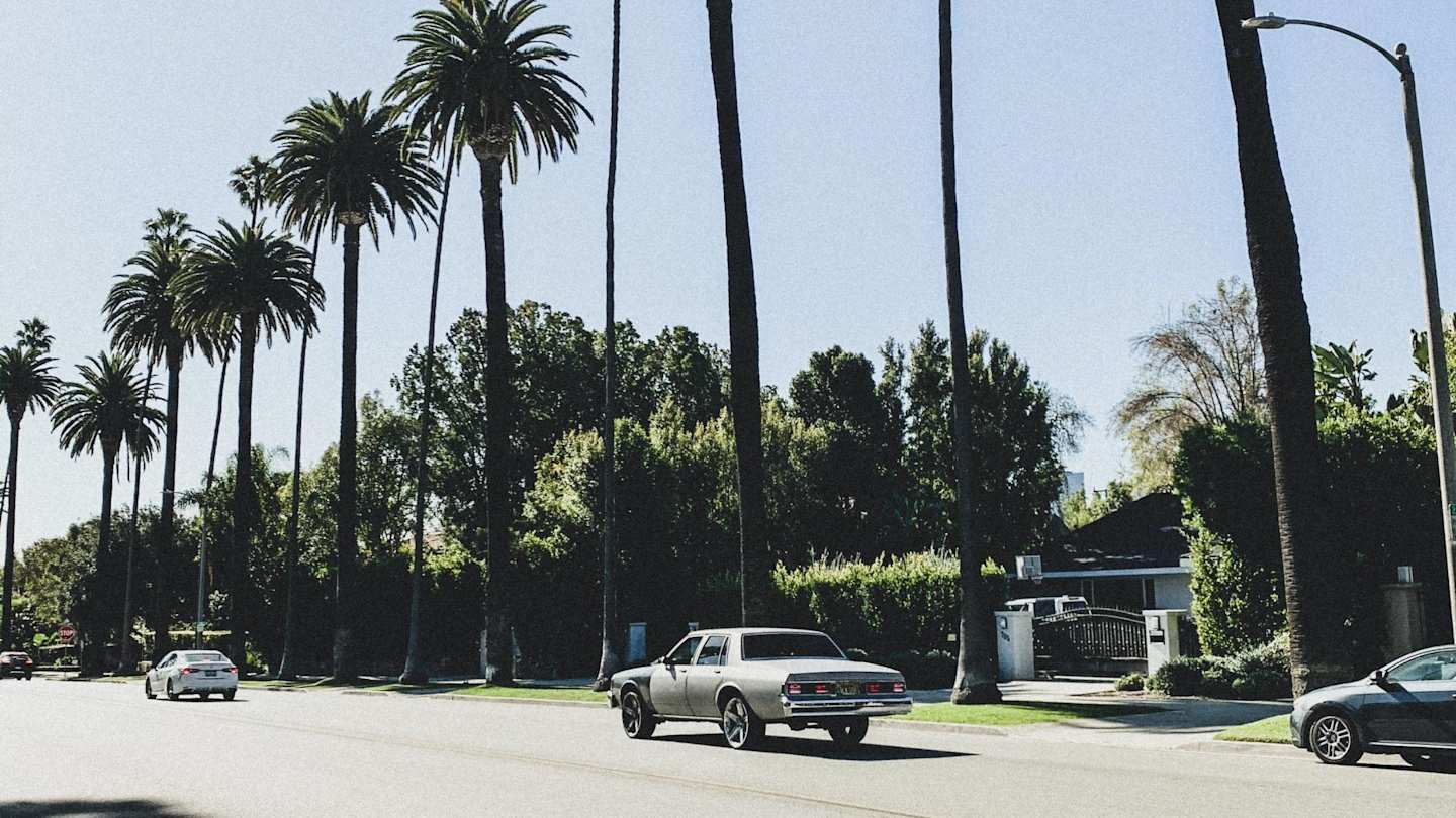 Palm trees lining a road in Beverly Hills