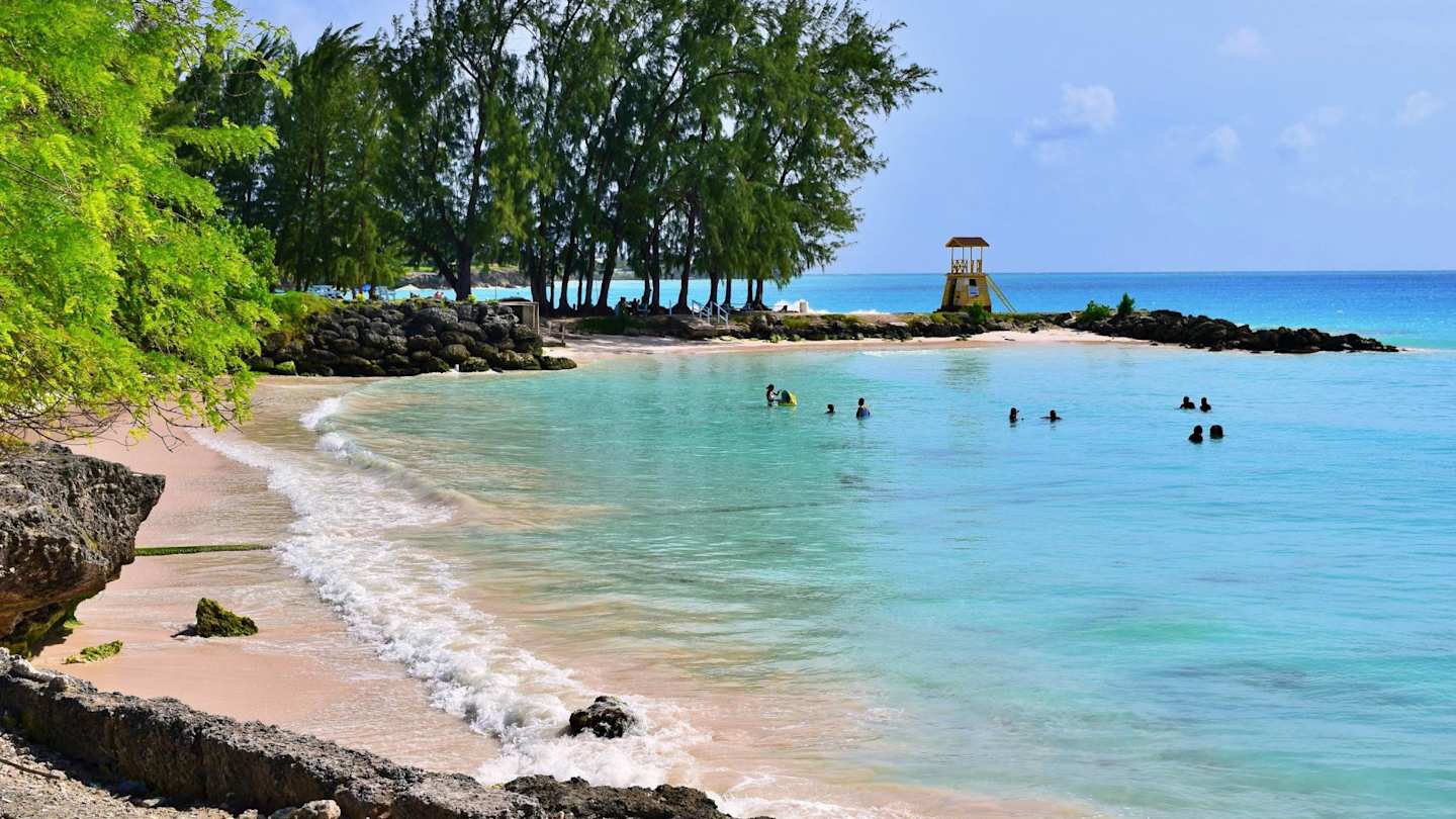 Beach in Barbados with trees and calm, blue water