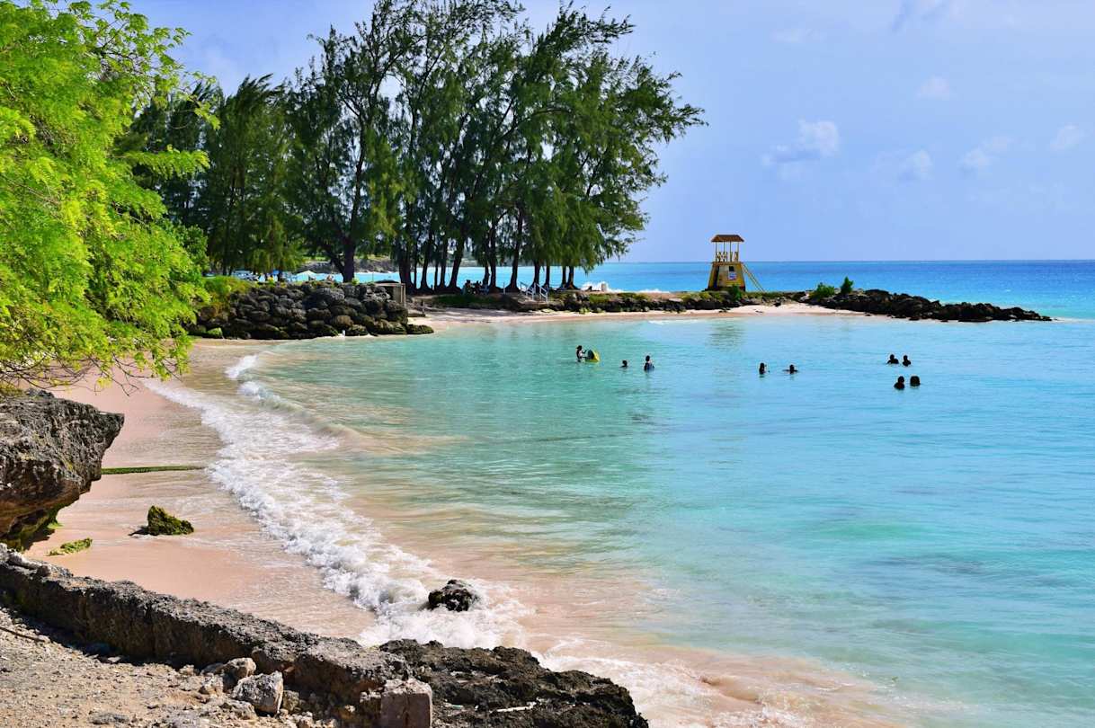 Beach in Barbados with trees and calm, blue water