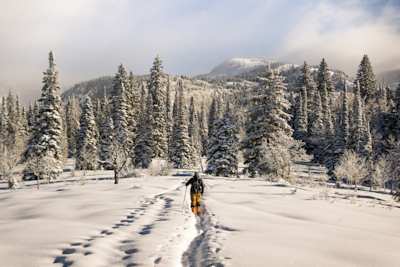 Person skiing among trees in Steamboat Springs, Colorado, USA