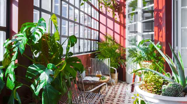 La Roux, Plum Guide home in Lisbon