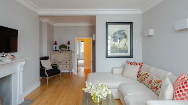 The Sultan's Cranes, Plum Guide home in London