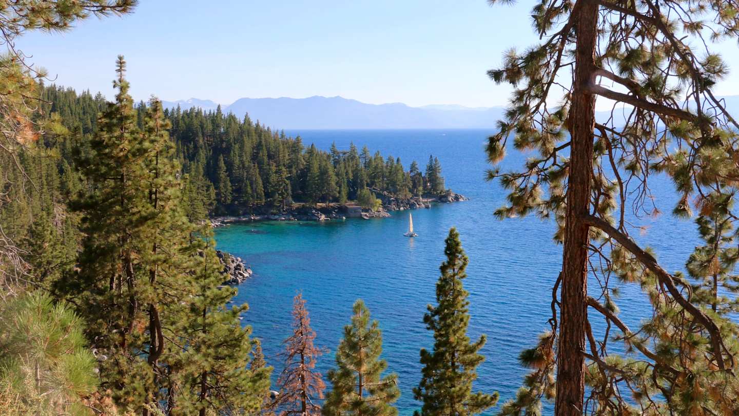 View of water and trees at Lake Tahoe, USA