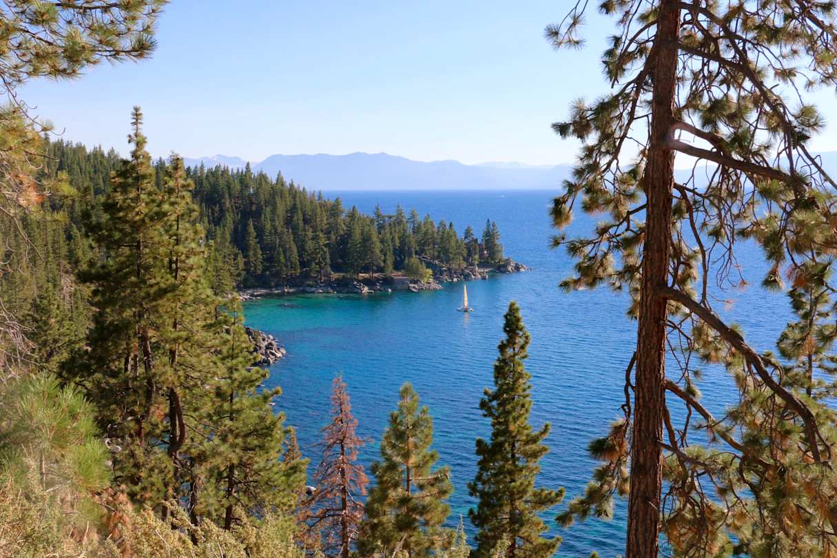 View of water and trees at Lake Tahoe, USA