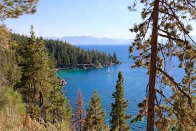 View of water and trees at Lake Tahoe, USA