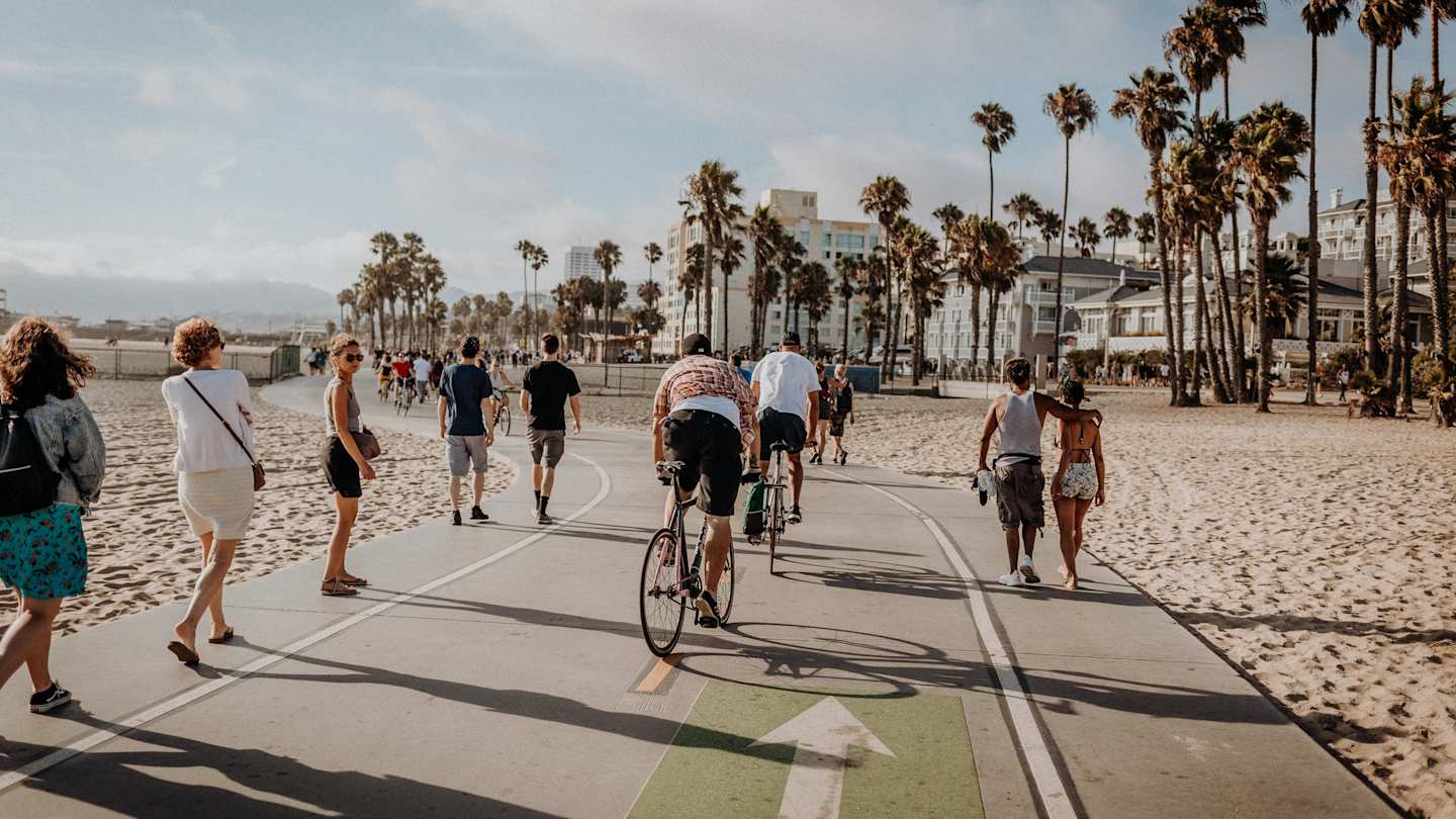 Road lined with palm trees in Los Angeles