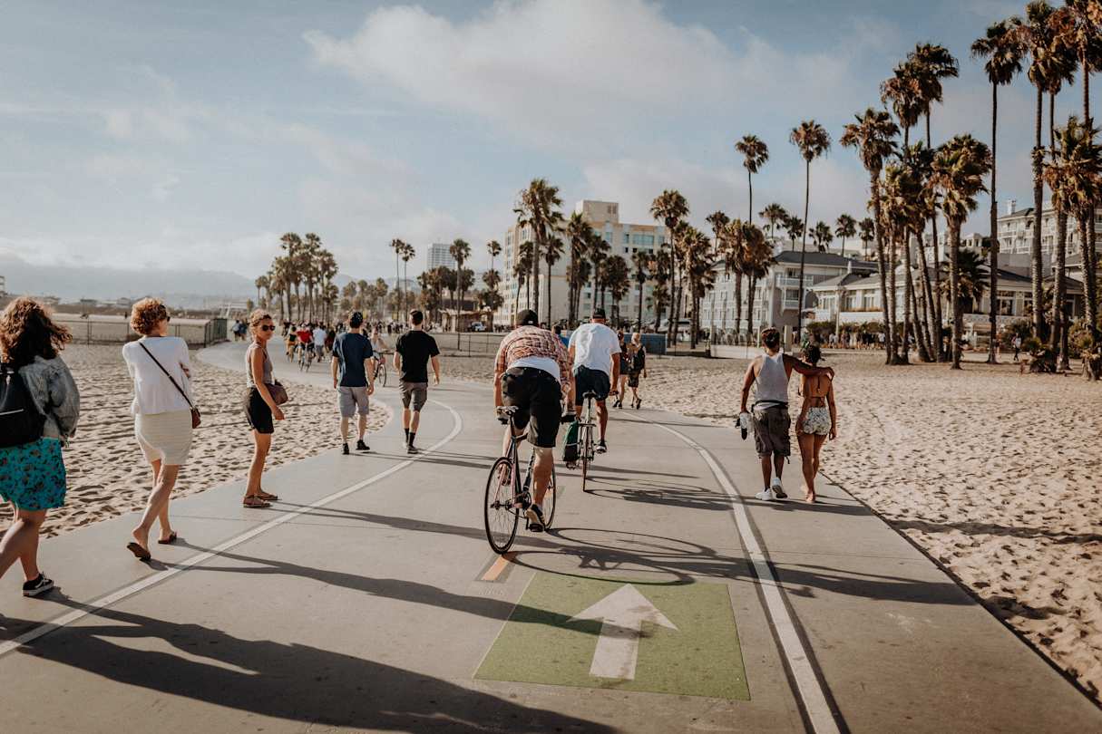 Road lined with palm trees in Los Angeles