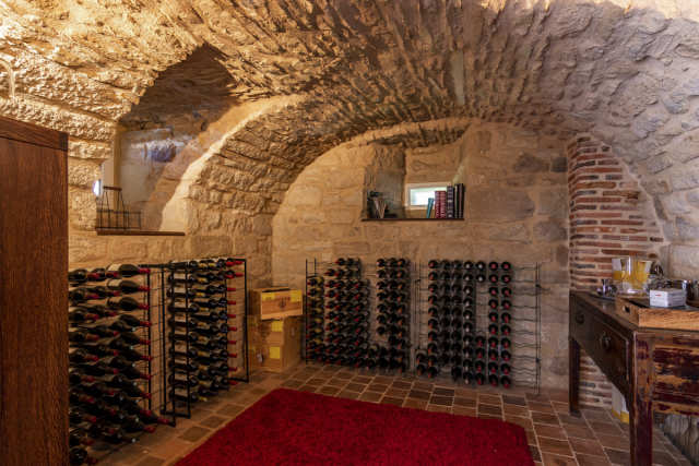 Vuducare Hangover Prevention - Holiday Wine Cellar