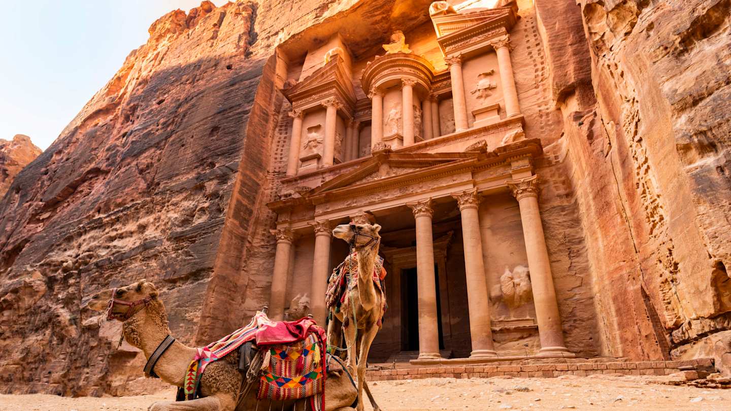 A pair of camels sitting in front of the Al Khazneh temple in the side of a cliff, Jordan