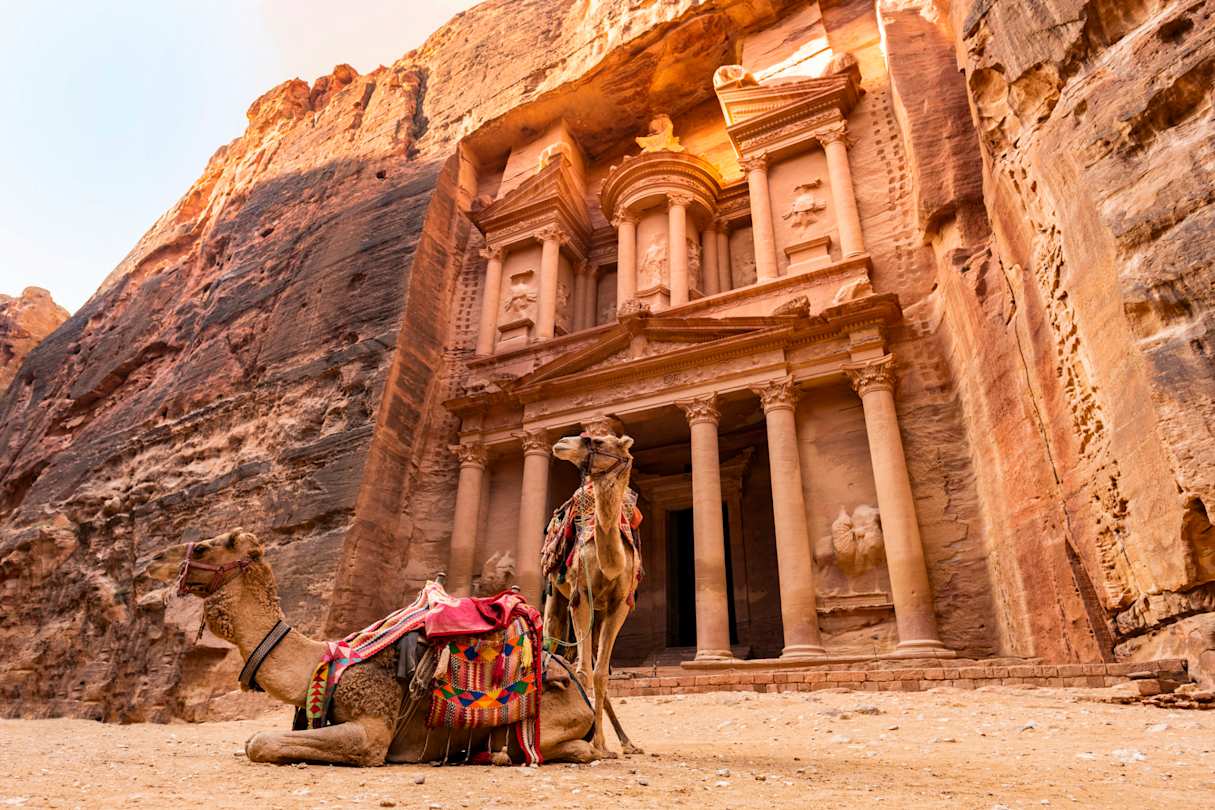 A pair of camels sitting in front of the Al Khazneh temple in the side of a cliff, Jordan