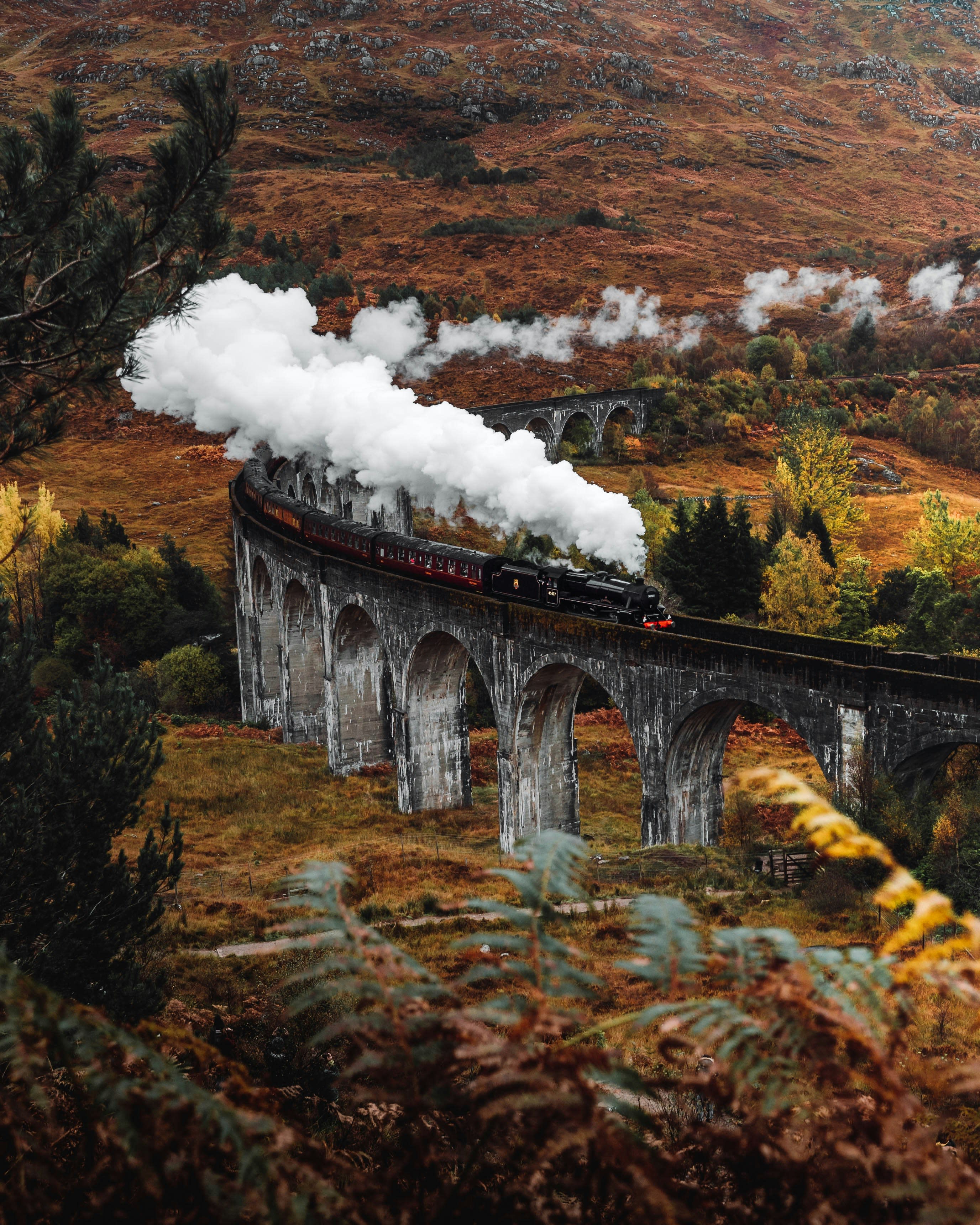 A steamtrain moving through Scottish scenery.