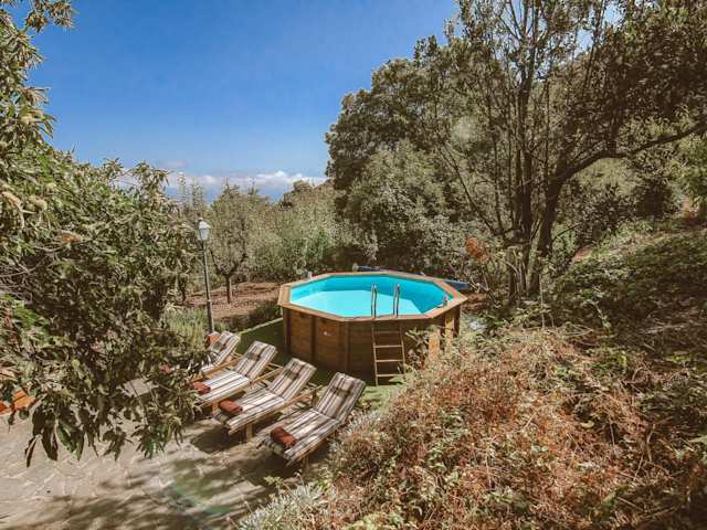 Alice In Canaria, Plum Guide home in Las Palmas, Gran Canaria, Spain