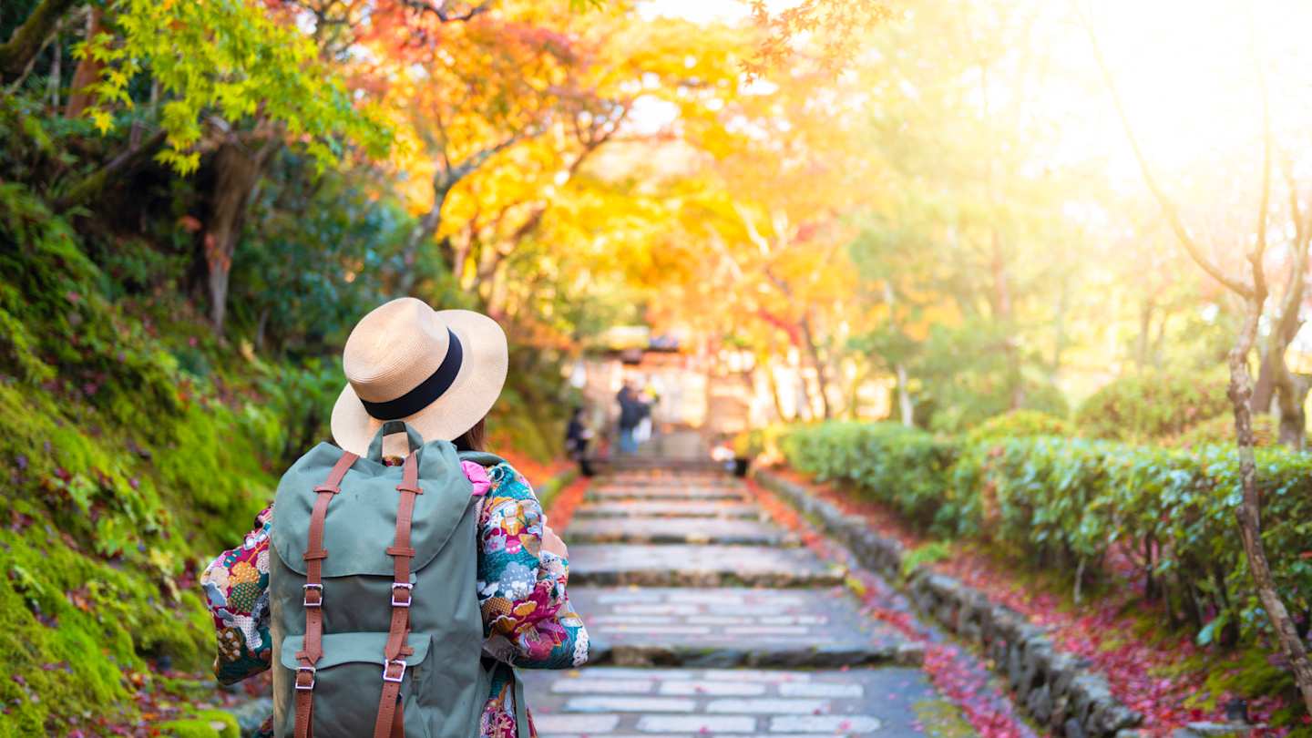 A solo traveller exploring large steps and plants in Japan