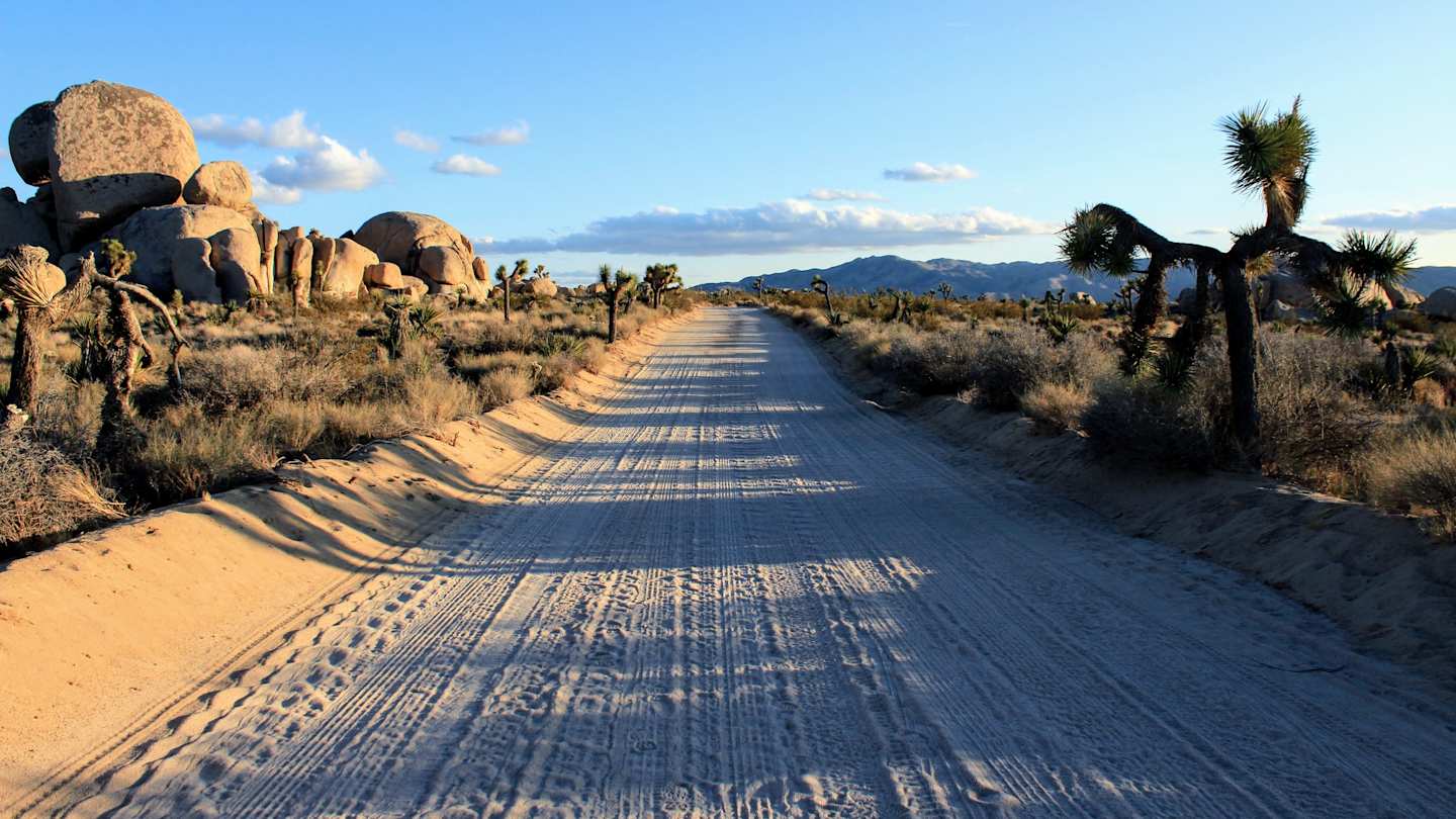 Joshua Tree, California