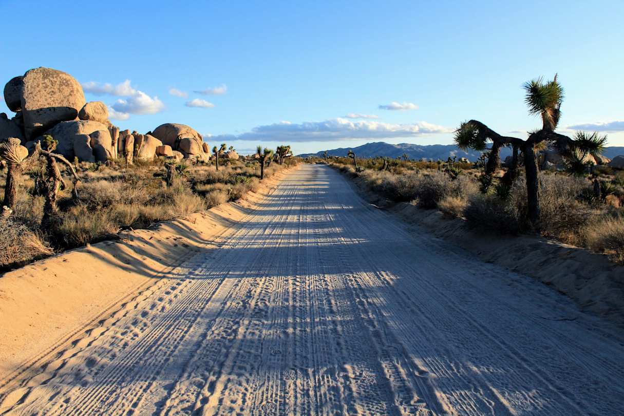 Joshua Tree, California