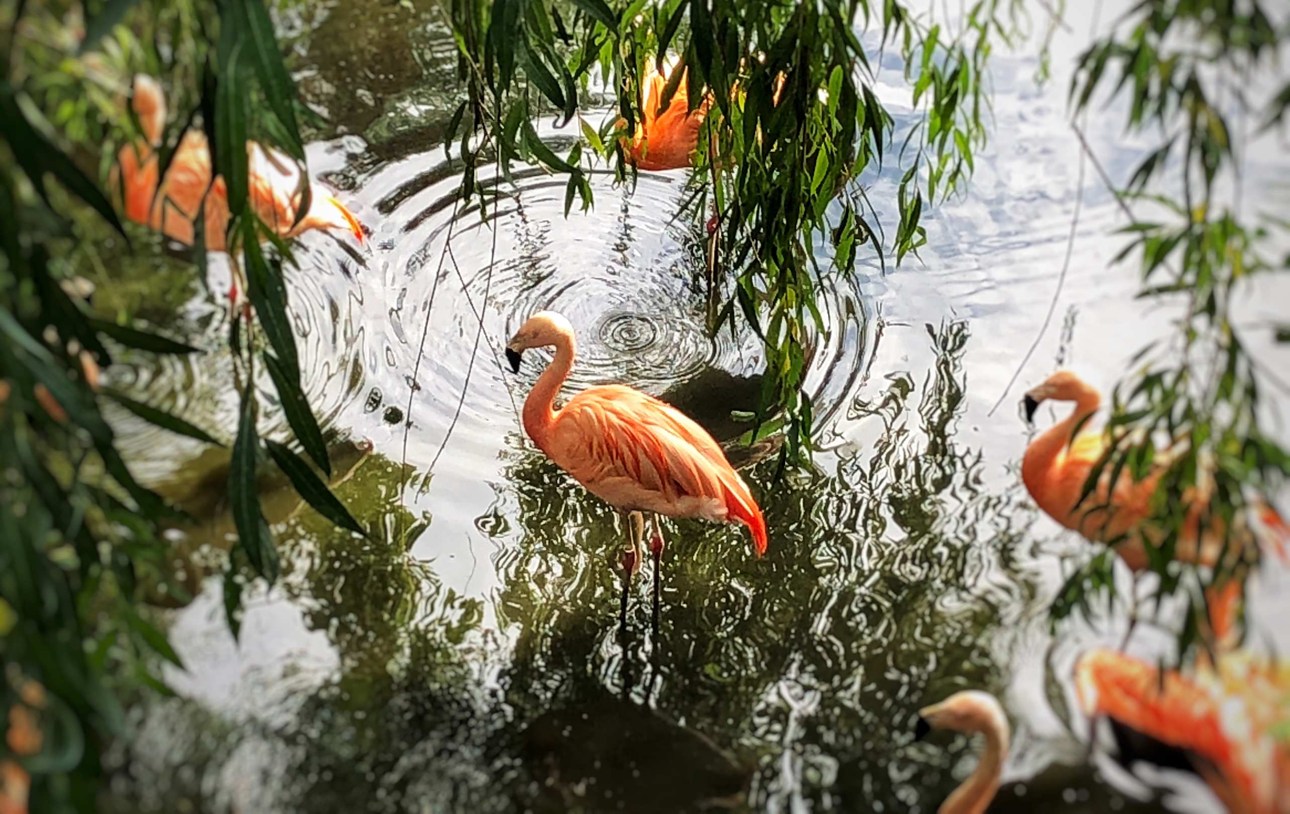 Things to Do in Colchester With Kids Plum Guide