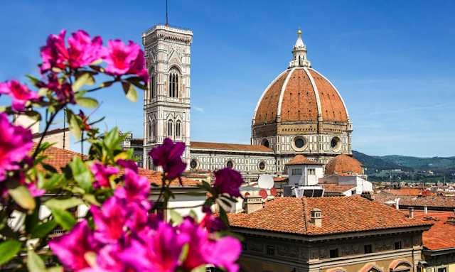 A view of the dome of Cathedral Church Santa Maria del Fiore behind pink flowers, Florence, Italy