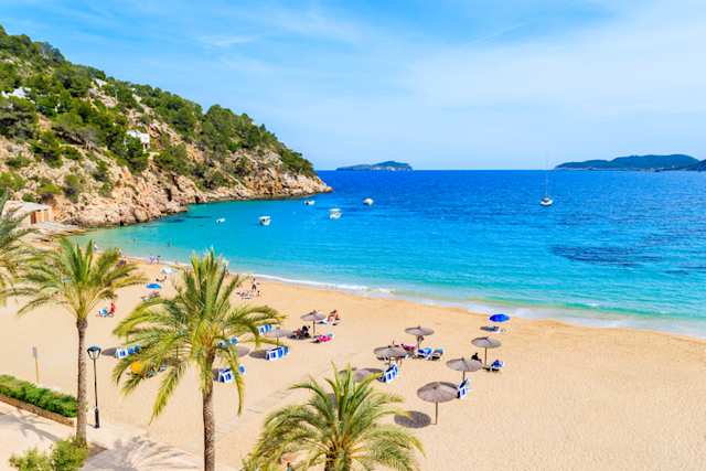 Aerial view of parasols and sun loungers on a sandy beach in Ibiza, Spain