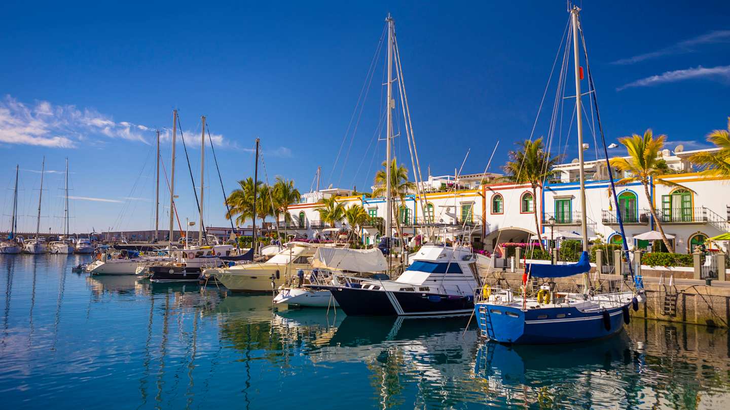 Traditional fishing boats bobbing in the Marina of Puerto de Mogan in front of a palm-lined promenade, Gran Canaria